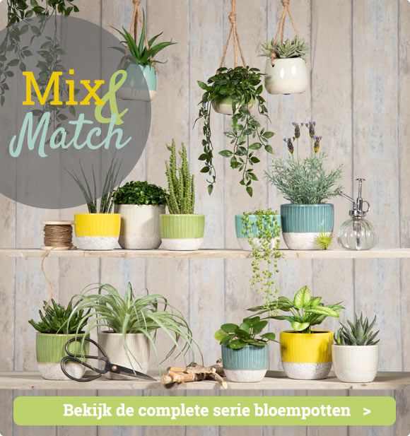 Mix en Match Bloempotten