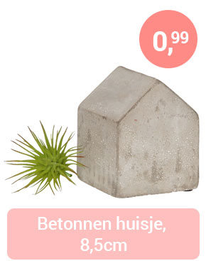 Betonnen huisje, 8,5cm