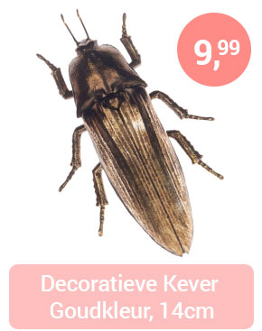 Decoratieve Kever Goud, 14cm