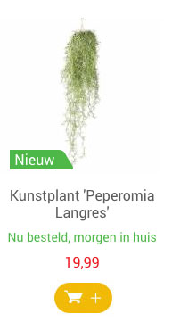 Kunstplant 'Peperomia Langres'