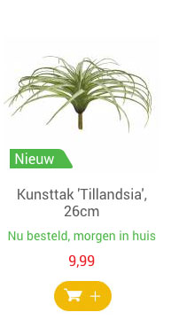 Kunsttak 'Tillandsia', 26cm