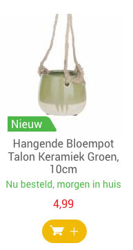 Hangende Bloempot Talon Keramiek Groen, 10cm