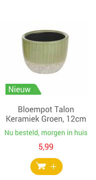 Bloempot Talon Keramiek Groen, 12cm