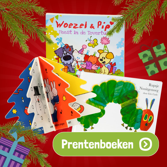 Prentenboeken tot 5,-