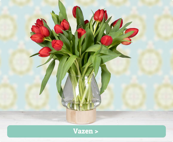 Vazen