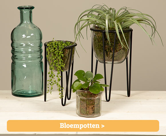 Bloempotten