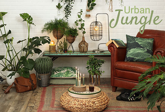 Urban Jungle