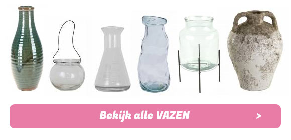 Vazen van Lobbes Wonen