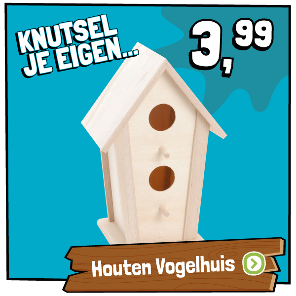 Versier je eigen Houten Vogelhuis