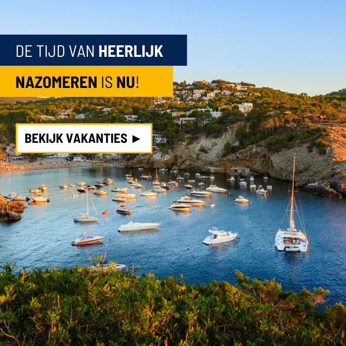 Kopie%20van%20HEADER%20MET%20TITELBALKEN%20%2813%29.png
