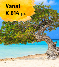 aruba_8.png