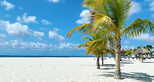 aruba_9.png