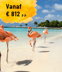 bonaire_3.png