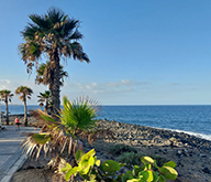 tenerife_3.png