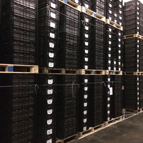 Cooling storage at VWS