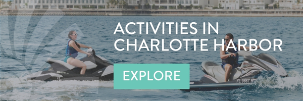 Activities in Charlotte Harbor