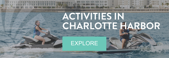 Activities in Charlotte Harbor