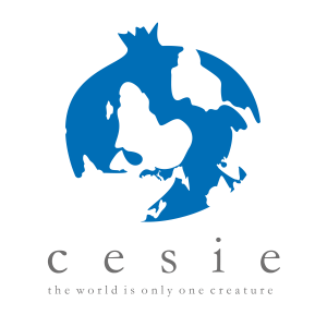 CESIE, Italy