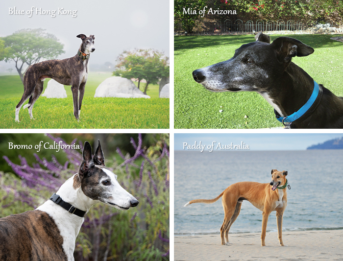 Calendar winners