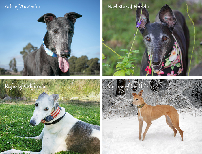 Calendar winners