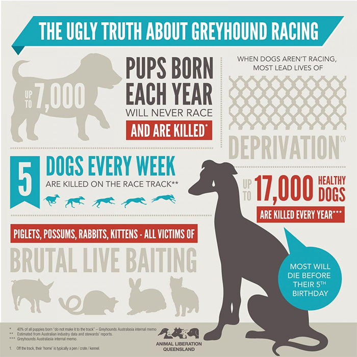 The ugly truth about greyhound racing