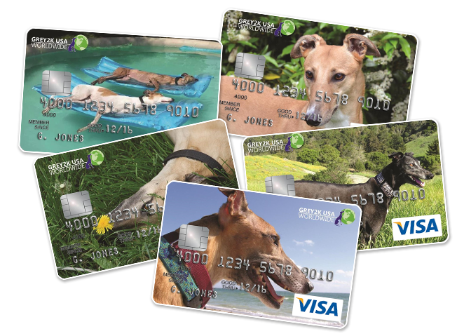greyhound credit cards