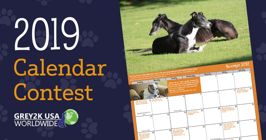 2019 calendar contest