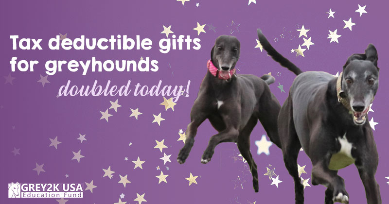 Tax deductible gifts for greyhounds doubled today