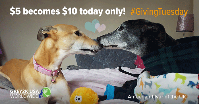 $5 becomes $10 today only!