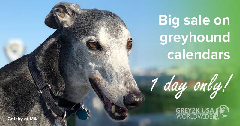 Big sale on greyhound calendars 1 Day only!