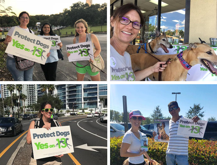 Florida volunteers