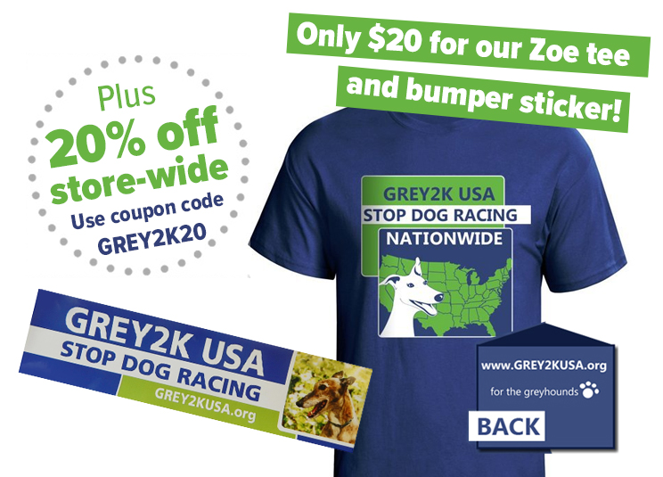 Racing dog in New Zealand