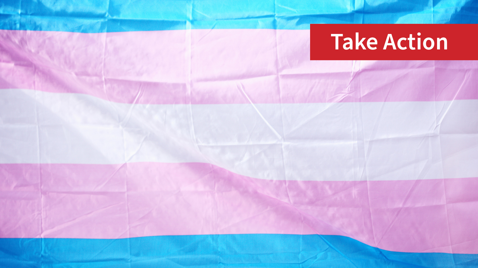 HHS to become first federal agency to fly trans pride flag