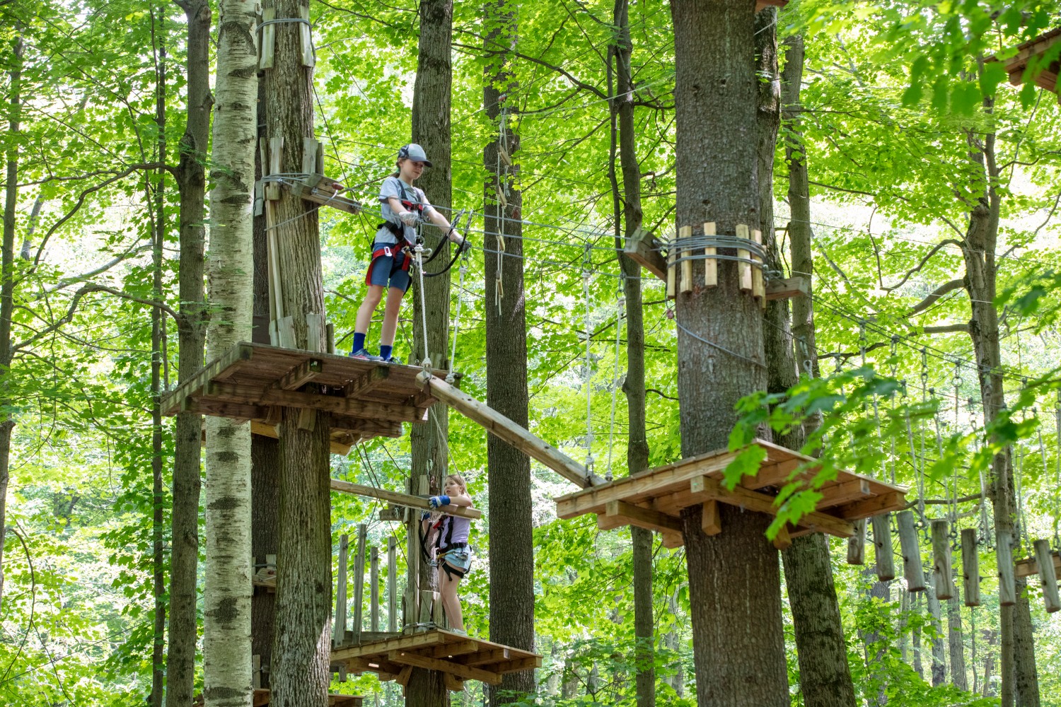 person on Treee platform