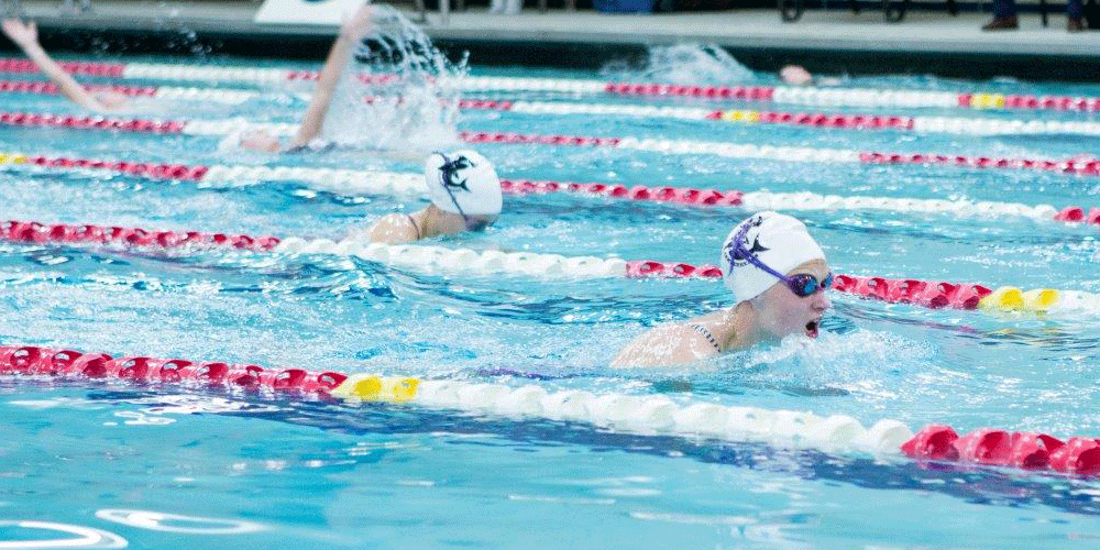 Dive Into Aquatics Denver Athletic Club