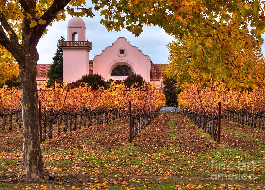 Groth winery clearance