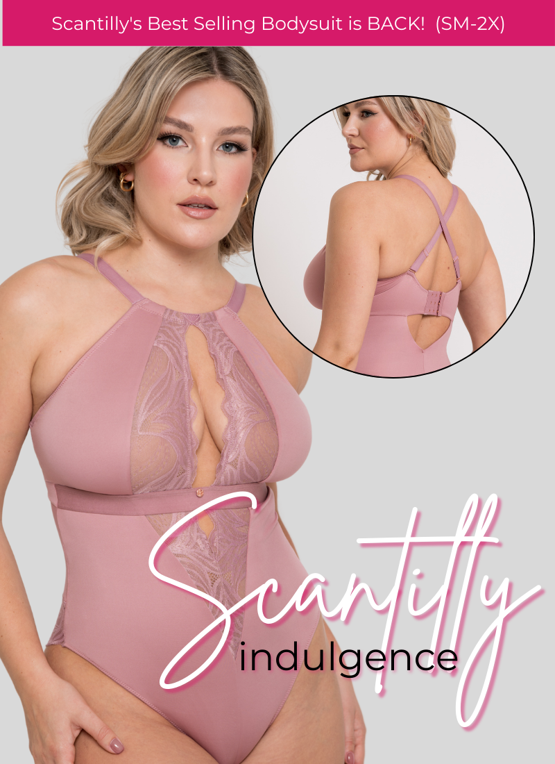 Scantilly Indulgence Rose Bodysuit is back!