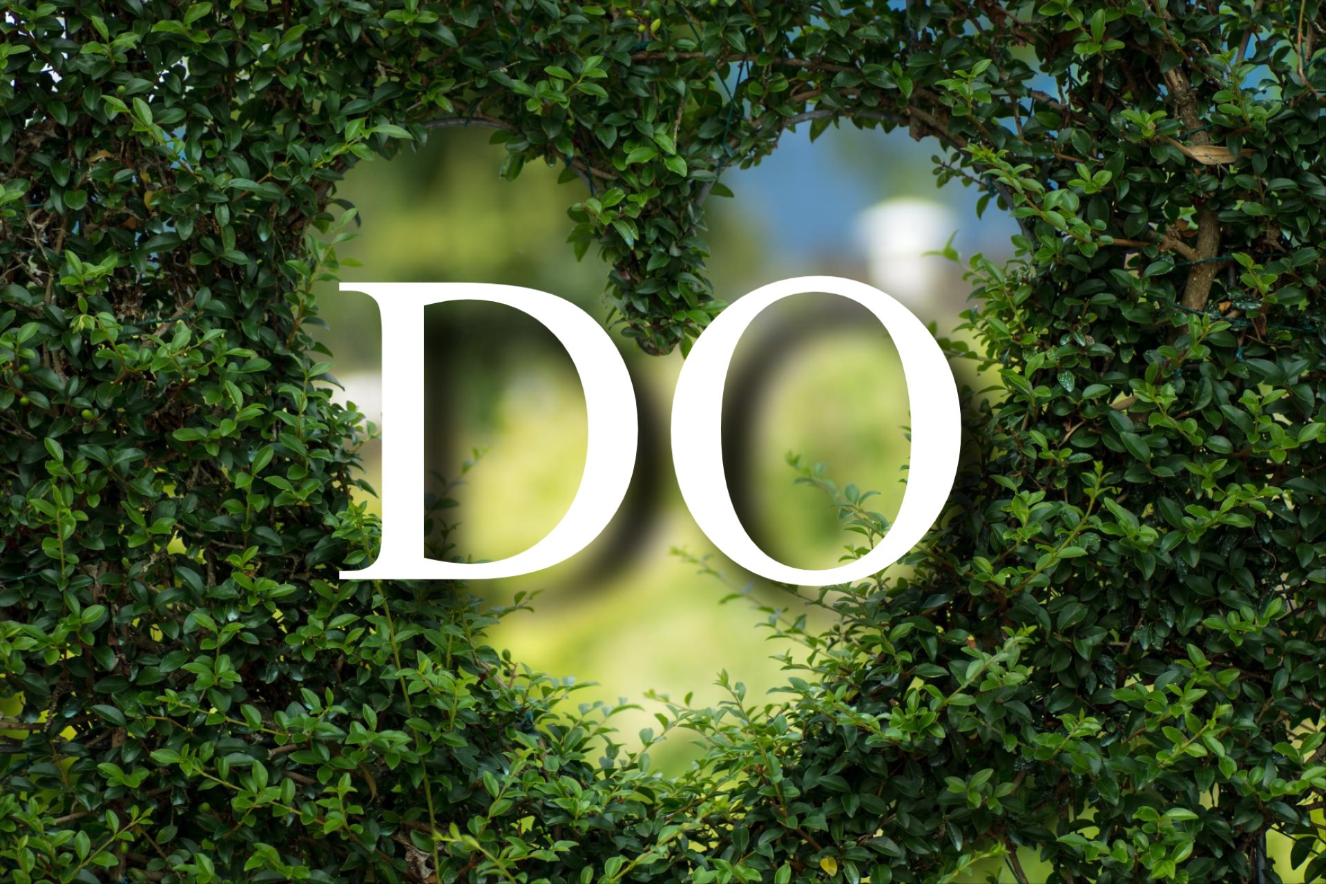 Image Image
