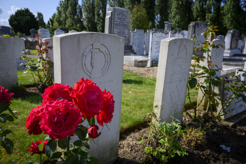 WW1 Guided Walks