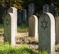 image of a cemetery