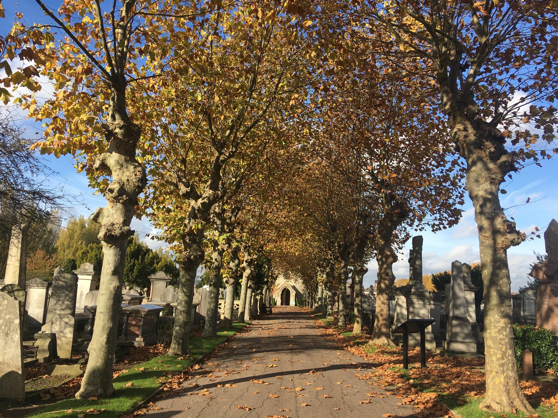 Writers' Retreat at Willesden Jewish Cemetery