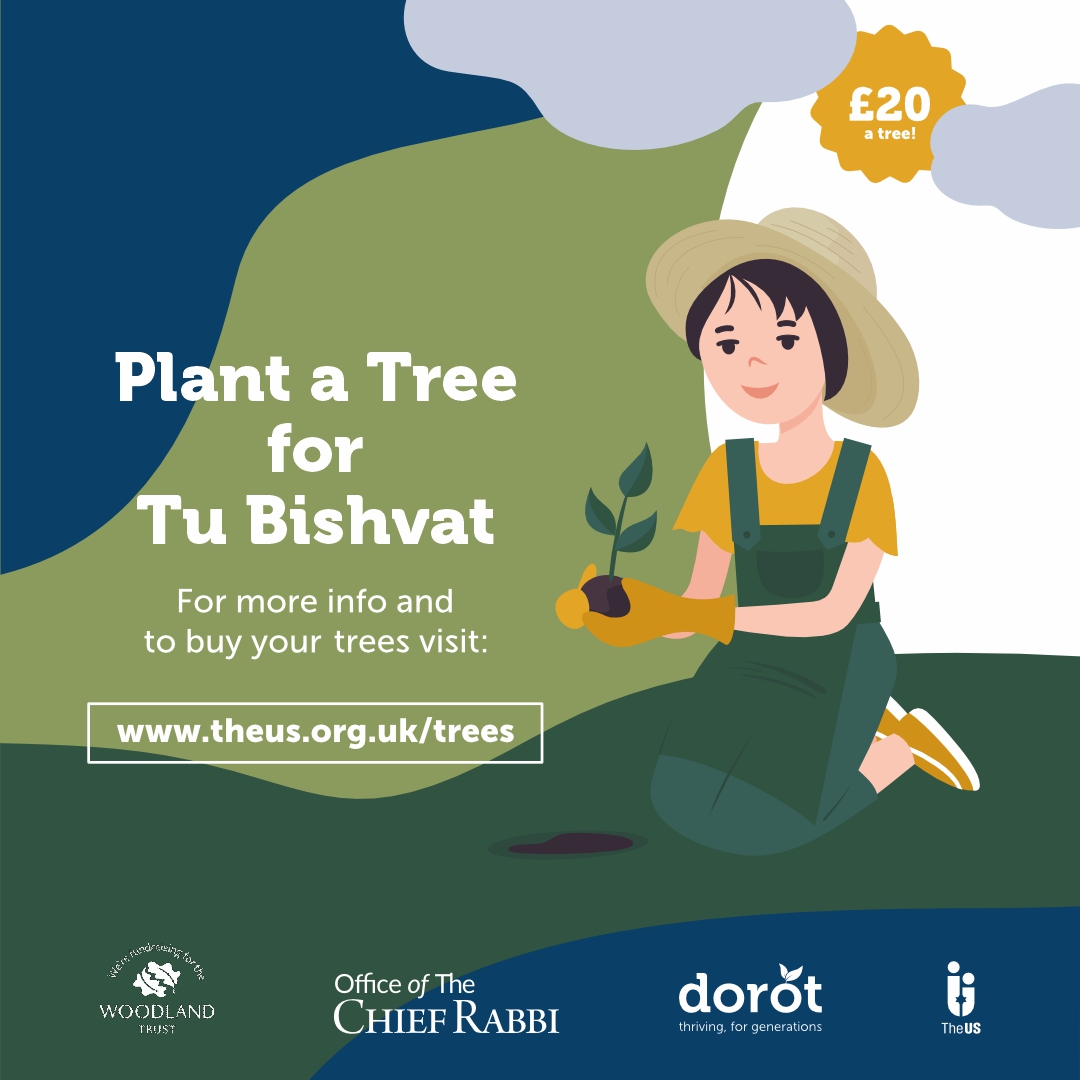 Plant a tree for Tu Bishvat!
