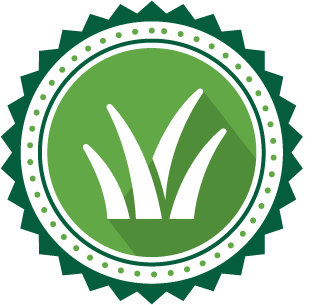 Lawn Care