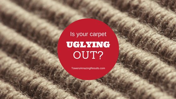 carpet and fabric protection services in the Dallas/Ft Worth Metroplex Area
