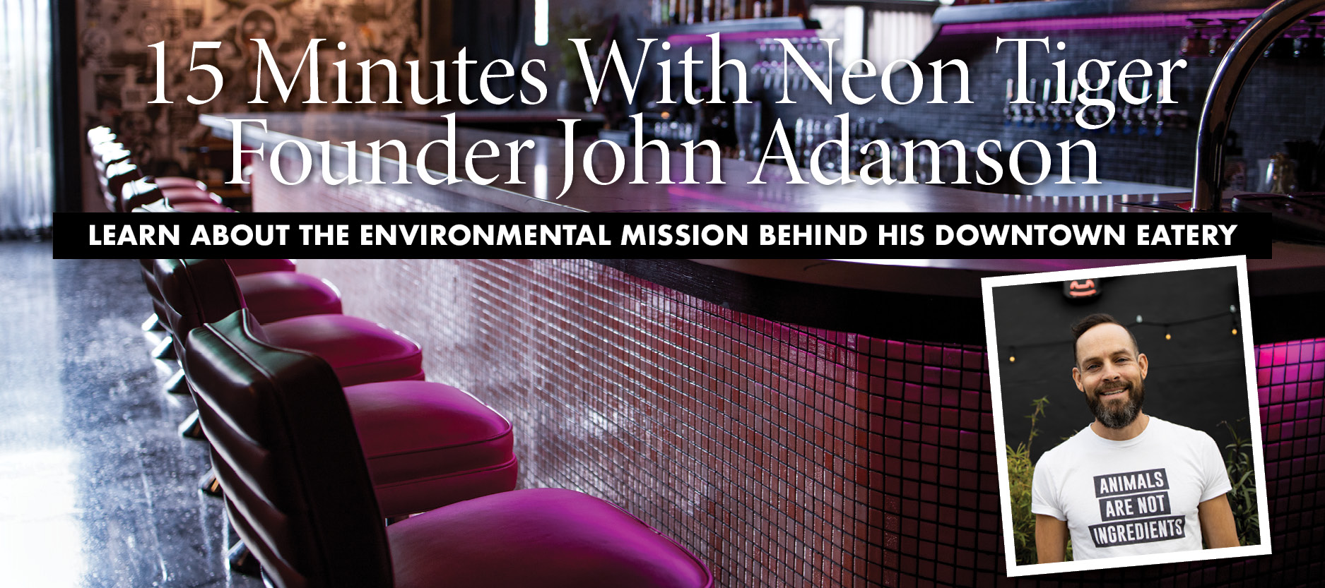 15 Minutes With John Adamson, Neon Tiger