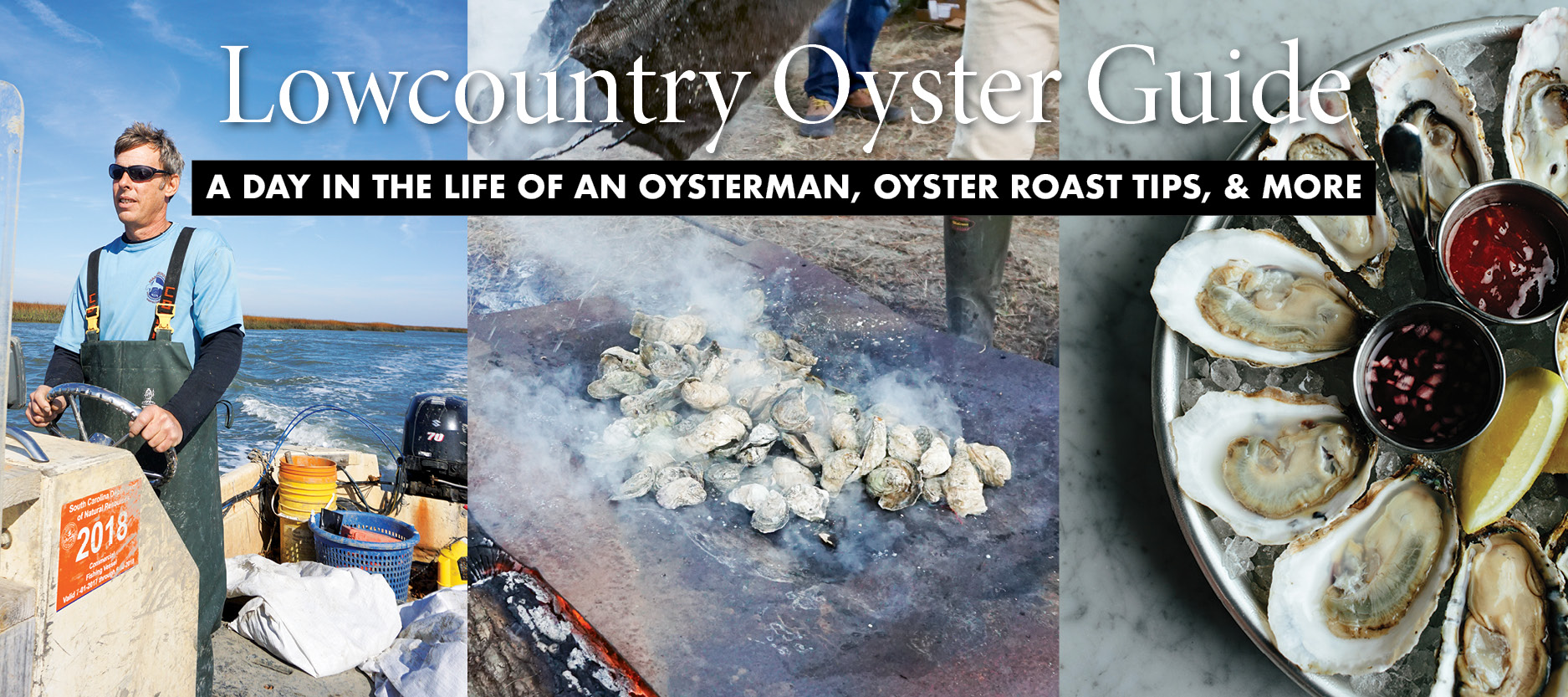 Lowcountry Oyster Guide