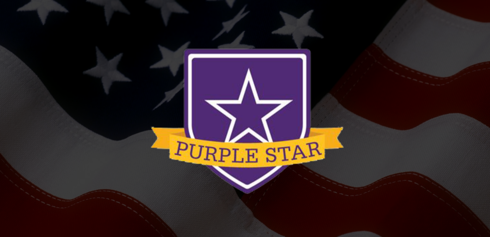 Image Of Purple Star Logo Overlaid On Us Flag