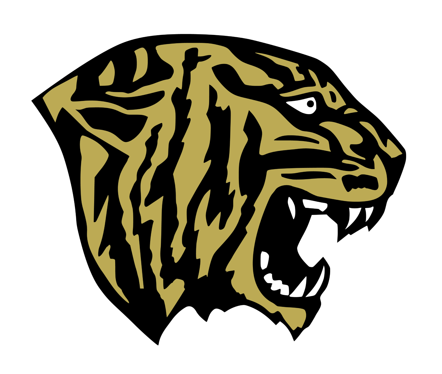 Fridley Tigers