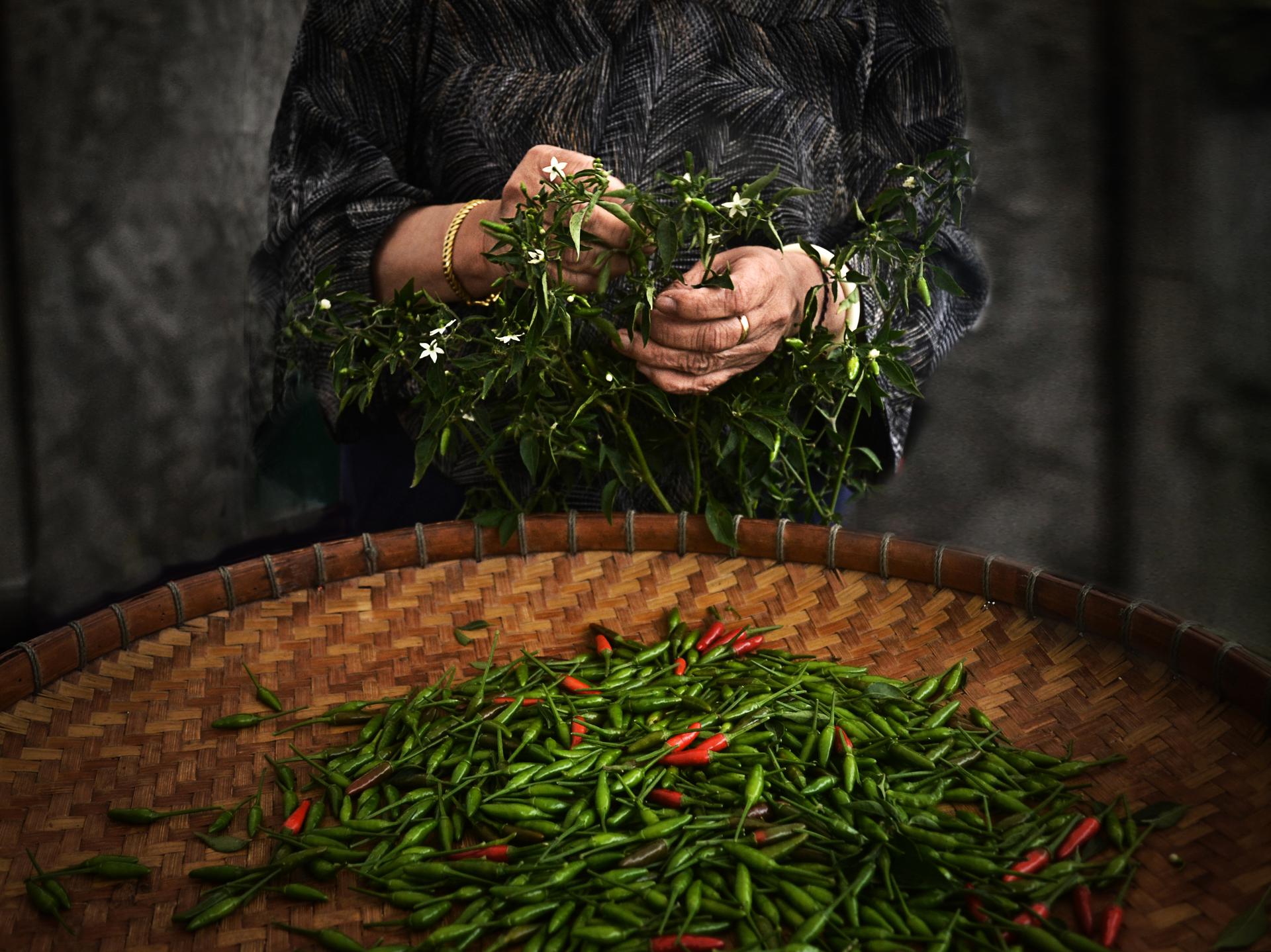 ''Grandma's Hands'' by Baobai Xiong