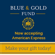 Blue & Gold Fund